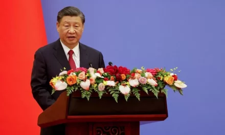 Ukraine’s Zelensky Holds First War Phone Call With China’s Xi