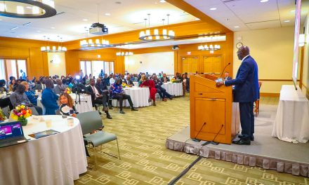 Africa’s Participation In The Fourth Industrial Revolution Must Be Based On Data And Transparent Systems – Bawumia