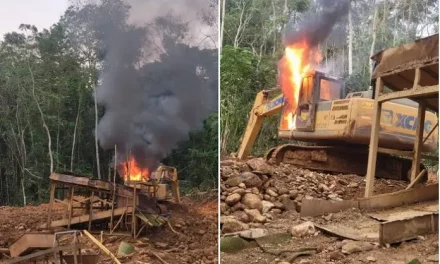 Burning Of Excavators Was Without Legal Basis – Operation Vanguard Legal Advisor
