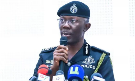 Stick To your politics and let us also do our job – Police tell NDC, NPP