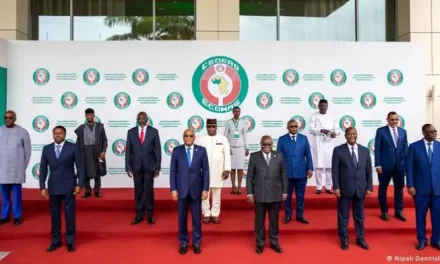ECOWAS lifts economic, travel sanctions on Niger, others