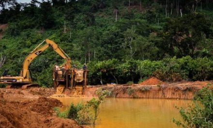 Lack of Resources Hinders Forestry Commission’s Fight Against Illegal Mining