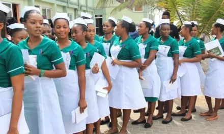The nurses leaving are the experienced, competent ones – GRNMA