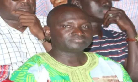 Ex-Gambian minister charged with crimes against humanity