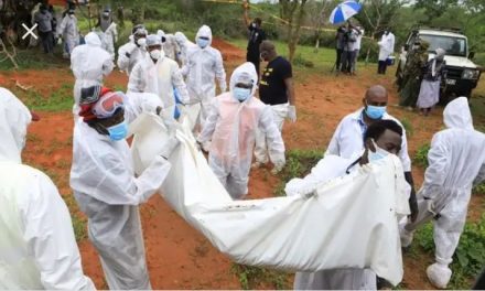 20 Bodies Exhumed In An Investigation Into Kenyan Cult 