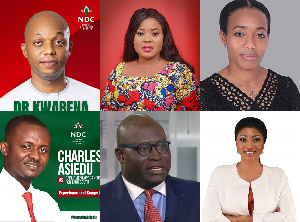 Meet The 6 Children Of NDC Stalwarts Vying For Parliamentary Slots