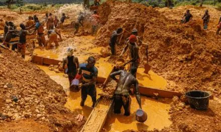 Government Increases Sentencing For Illegal Mining Convicts – Abu Jinapor