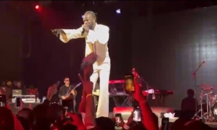 Netizens Question Black Sherif’s Scary Satanic Signs At New York Concert 