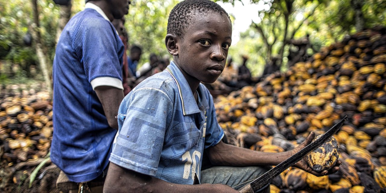 Stakeholders Call For The Formalization Of Agric Sector To Ending Child Labour<span class="wtr-time-wrap after-title"><span class="wtr-time-number">3</span> min read</span>