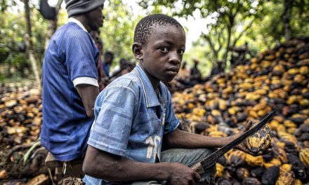 Stakeholders Call For The Formalization Of Agric Sector To Ending Child Labour