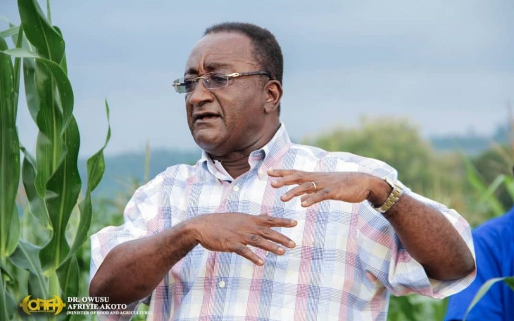 We Believe In Afriyie Akoto, Not Bawumia – Farmers<span class="wtr-time-wrap after-title"><span class="wtr-time-number">3</span> min read</span>