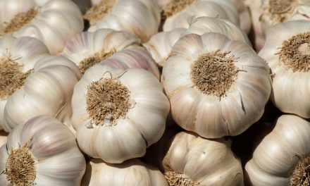 Health Benefits Of Taking Garlic Regularly