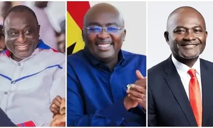 10 File Nominations For NPP Presidential Primary
