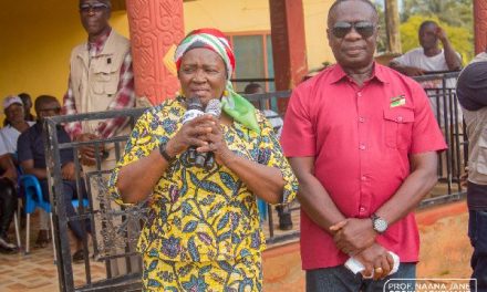 Prof Naana Opoku-Agyemang Campaigns For Gyakye Quayson In Assin North