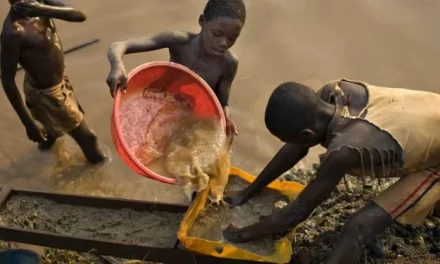 World Day Against Child Labour: CHRAJ Calls For Review Of Social Protection Policies In Ghana