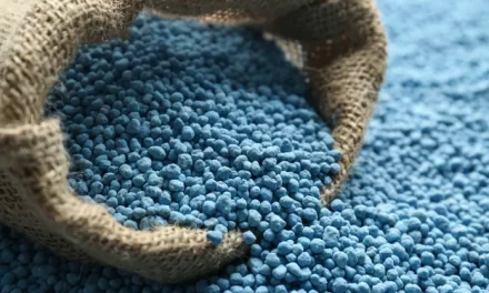 US$1.3bn Fertiliser Complex To Be Operational In 3yrs