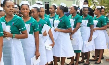 NSS Releases Postings Of 12,295 Nurses