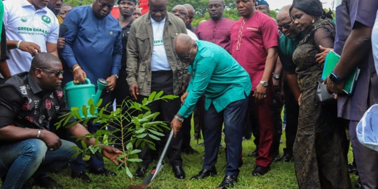 Ghana Goes Green Today As Government Plant 10 Million Trees<span class="wtr-time-wrap after-title"><span class="wtr-time-number">1</span> min read</span>