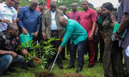 Ghana Goes Green Today As Government Plant 10 Million Trees
