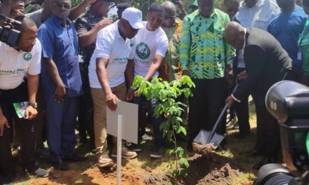 Green Ghana Day: My Government Is Committed To Protect The Environment – Akufo-Addo