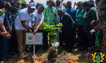 Step Out, Plant A Tree, Make Sure It Grows – President Akufo-Addo Admonishes Ghanaians