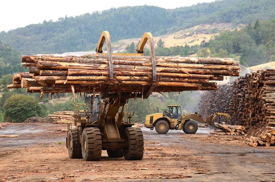 Ghana Earns €153.9m From Timber Export<span class="wtr-time-wrap after-title"><span class="wtr-time-number">1</span> min read</span>