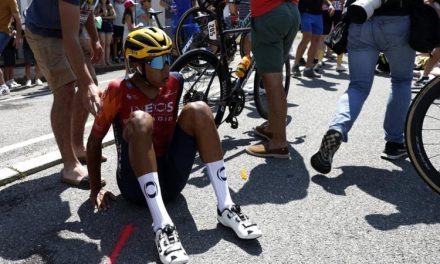 Tour de France 2023: Fan Taking Selfie Causes Crash On Stage 15