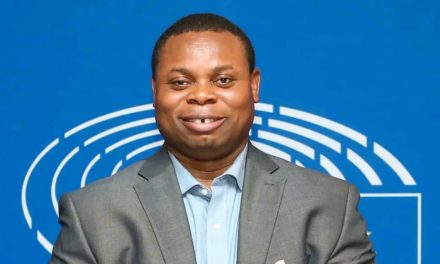 (VIDEO) Franklin Cudjoe: Appointing People On Demerit Is Collapsing Public Businesses