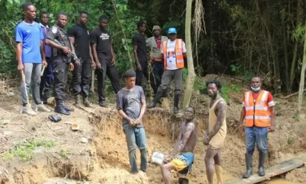 Dormaa East: Six Arrested For Illegal Mining