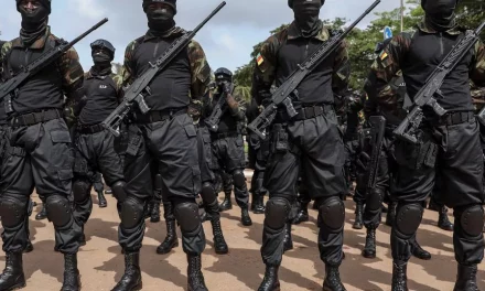Rwanda, Cameroon Announce Major Changes In Their Security Forces