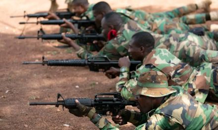 Soldier Accidentally Shoots Himself Near Michel Camp
