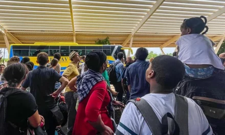 Niger Coup: First Evacuation Flights Reach Europe