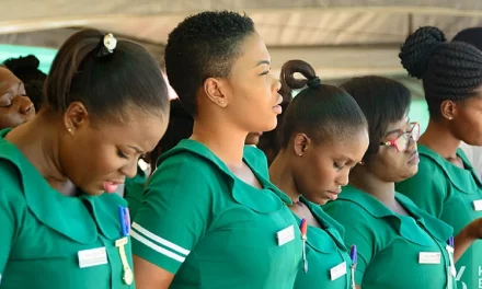 (VIDEO) It’s Impossible To Replace Migrating Nurses With Unemployed Nurses – Former GMA General Secretary Roasts GHS