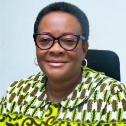 MMDCEs Should Be Elected To Get Competent People – Mary Awelana Addah