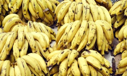 Eat 2 Bananas Per Day For A Month And These 7 Things Will Happen To Your Body