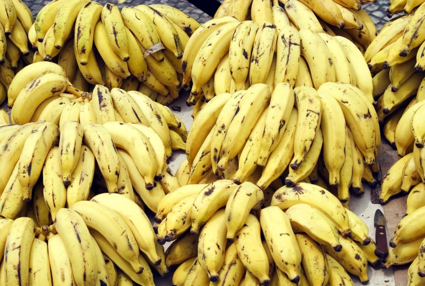 Eat 2 Bananas Per Day For A Month And These 7 Things Will Happen To Your Body<span class="wtr-time-wrap after-title"><span class="wtr-time-number">3</span> min read</span>