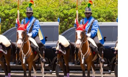 Ghana Police Posthumously Promotes Dead ‘police horse’ to sergeant rank