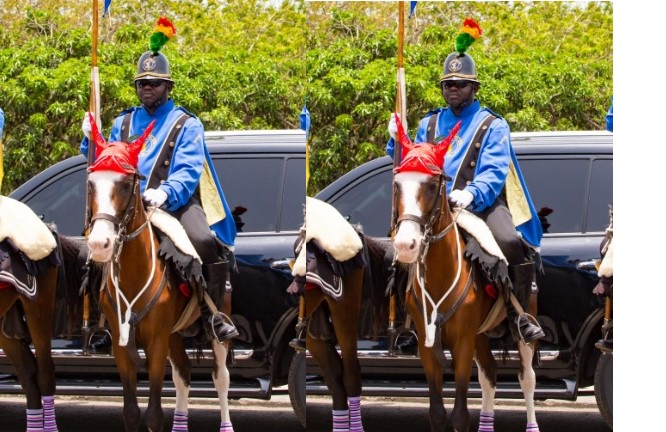 Ghana Police Posthumously Promotes Dead ‘police horse’ to sergeant rank<span class="wtr-time-wrap after-title"><span class="wtr-time-number">1</span> min read</span>
