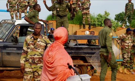 Algeria Proposes 6-month Transition Period To Solve Niger Crisis