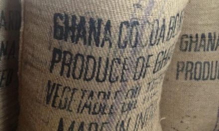 Cocoa Price Increased To GHC 1,308 Per Bag – Nana Addo