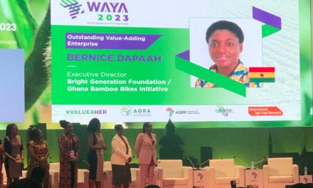Bamboo Bikes CEO Wins Women Agripreneurs Award In Tanzania