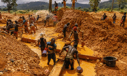 Galamsey: Akufo-Addo Has Disappointed Ghanaians – Small Scale Miners Association