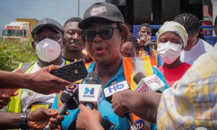 We Need Zoomlion To Support Us With Waste Bins For Our Clean Ups – Sanitation Minister