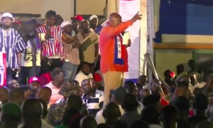 “You Have Shown That Ghana’s Democracy Is Safe In Your Hands” Akufo Addo To NPP Members