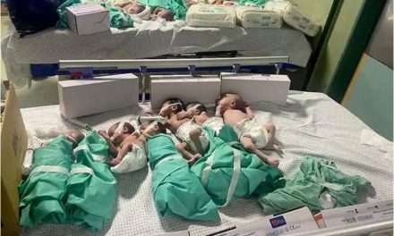 30 Premature Babies Evacuated From Al Shifa Hospital And Are Bound For Egypt
