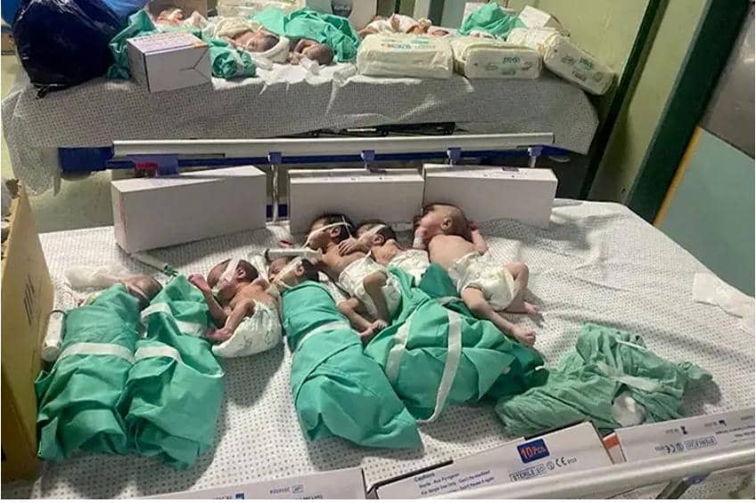 30 Premature Babies Evacuated From Al Shifa Hospital And Are Bound For Egypt<span class="wtr-time-wrap after-title"><span class="wtr-time-number">2</span> min read</span>