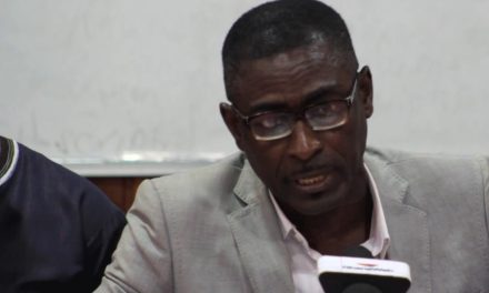 Success Of NPP In 2024 Elections Depends On November 4 – AFAG
