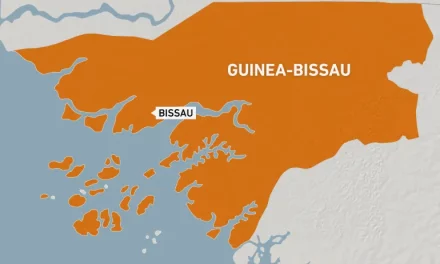 Heavy Gunfire In Guinea-Bissau As Minister Is Freed From Detention