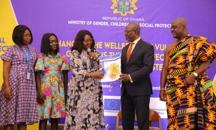 Gender Ministry Outdoors Social Protection Information Management System