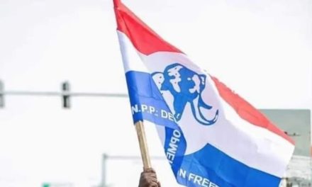 NPP Orphan Constituencies Primaries: Check Out Provisional Results